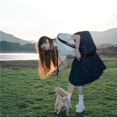 篮子里的恶魔